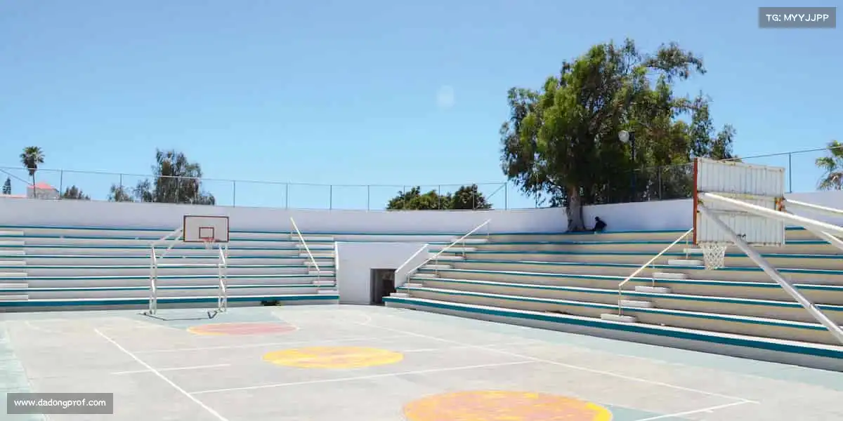 行业领先的理由